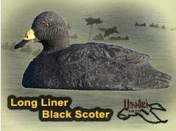 LL Black Scoter - ureaduckdecoys