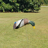 Assault Mallard
