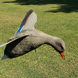 Assault Mallard