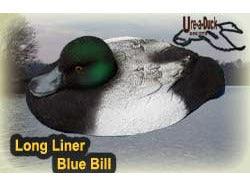 LL Blue Bill - ureaduckdecoys
